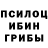 Галлюциногенные грибы мицелий Gala Starceva