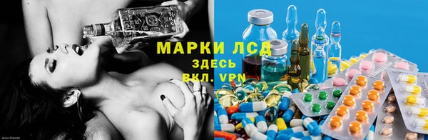 индика Балабаново