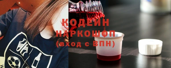 индика Балабаново