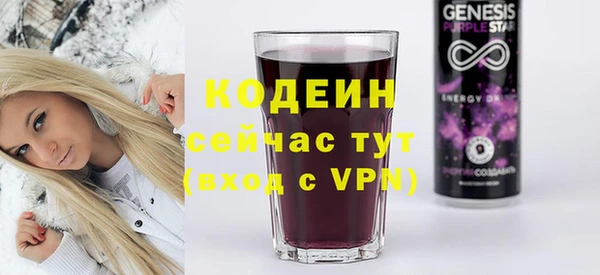дживик Белокуриха