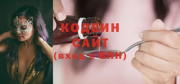 индика Балабаново