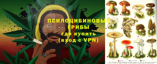 не бодяженный Каменногорск