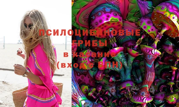 индика Балабаново
