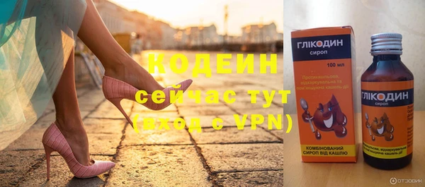 индика Балабаново