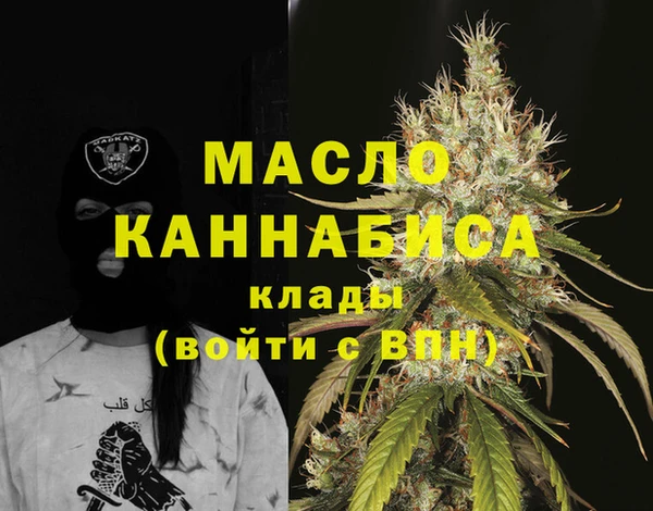 индика Балабаново